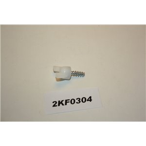 30780788 Volvo C30, S40, V50 wing screw