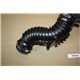 8200806067 Renault Trafic hose intake
