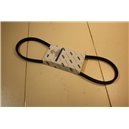 4982548 Ford Ranger belt avx 12,7x980