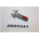 987430 Volvo bolt screw M8x25