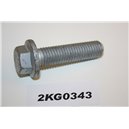 988812 Volvo bolt screw M14x55 