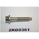 4697556 Ford bult skruv M8x40