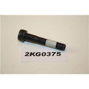 30624253 Volvo bolt screw M8x45