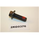 985055 Volvo screw bolt flange M10x35