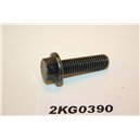 982818 Volvo screw bolt flange M10x35