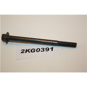 982769 Volvo screw bolt flange M6x80