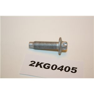 7703002705 Renault screw bolt  M7x25