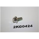 4549272 Ford screw bolt M6x14