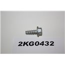 5255441 Ford screw 5x14