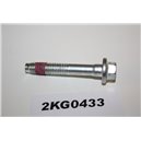1760648 Ford bolt screw M8x47