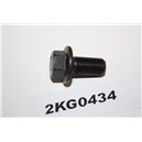 1663348 Ford bult skruv M10x20