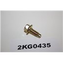 6756232 Ford bult skruv M6x12